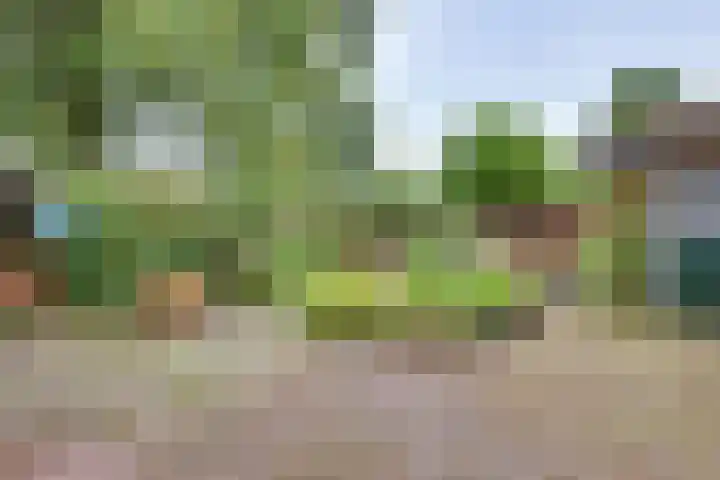 Willem Sluyterweg 15 Haarlo thumbnail 20