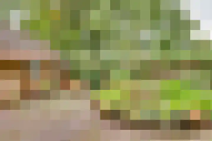 Willem Sluyterweg 15 Haarlo thumbnail 21