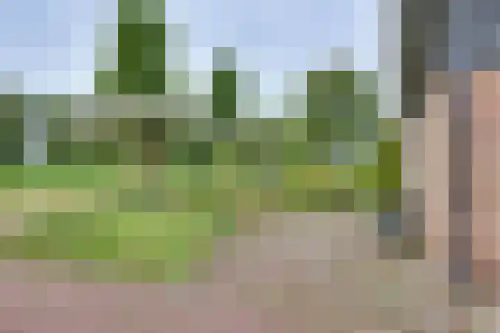 Willem Sluyterweg 15 Haarlo thumbnail 23
