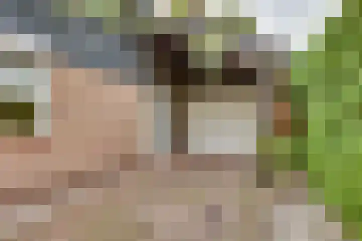 Willem Sluyterweg 15 Haarlo thumbnail 24