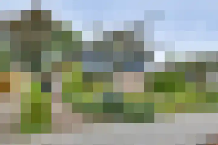 Willem Sluyterweg 15 Haarlo thumbnail 26