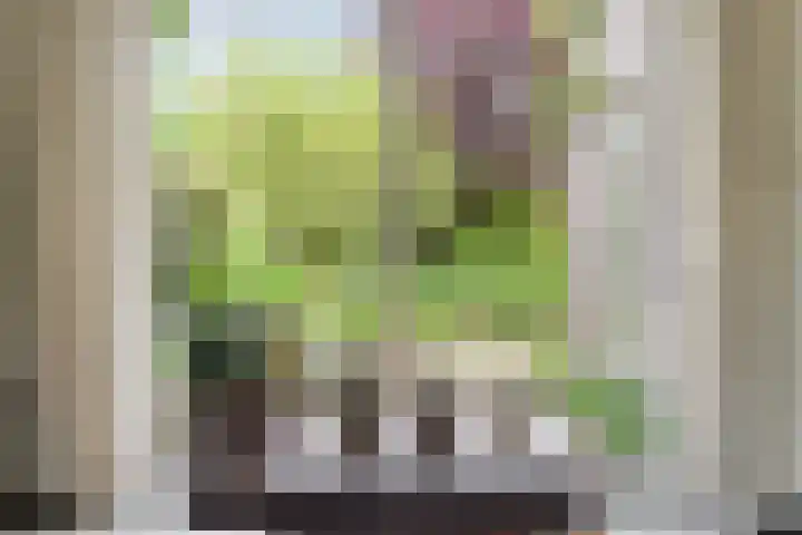 Willem Sparkweg 5 Sint-Michielsgestel thumbnail 11