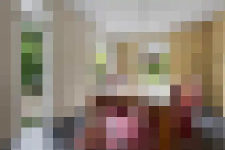 Willem Sparkweg 5 Sint-Michielsgestel thumbnail 14