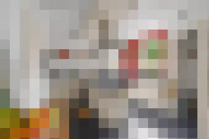 Willem Sparkweg 5 Sint-Michielsgestel thumbnail 15