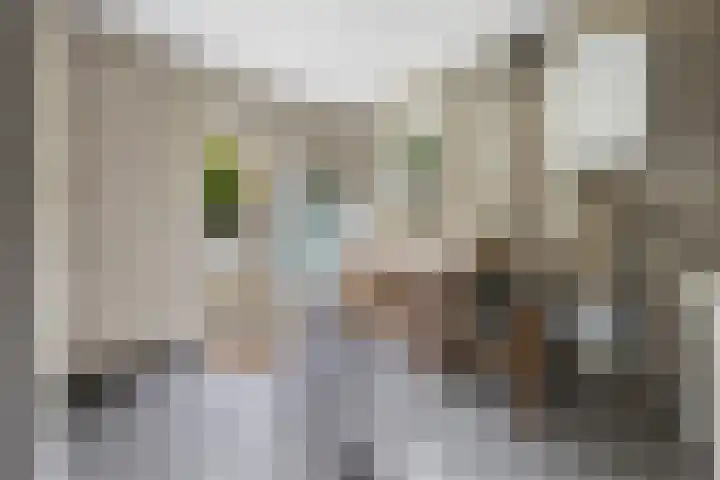 Willem Sparkweg 5 Sint-Michielsgestel thumbnail 19