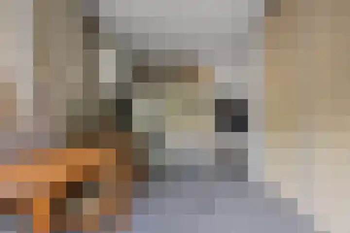 Willem Sparkweg 5 Sint-Michielsgestel thumbnail 20