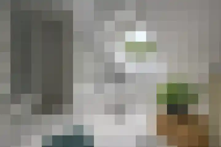 Willem Sparkweg 5 Sint-Michielsgestel thumbnail 26
