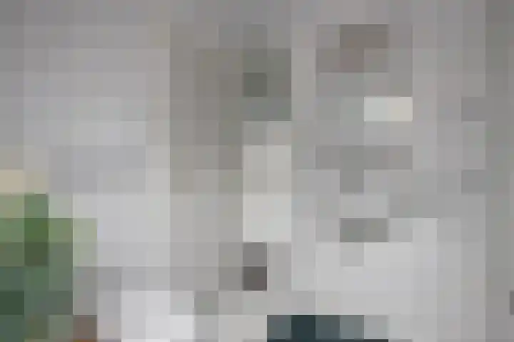 Willem Sparkweg 5 Sint-Michielsgestel thumbnail 28