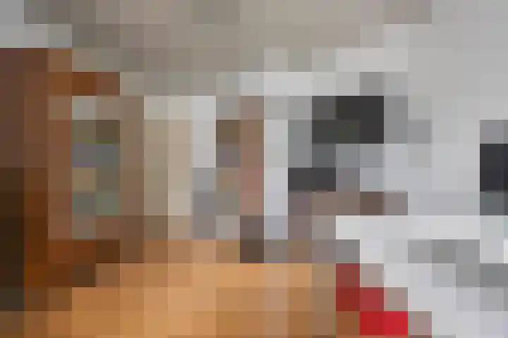 Willem Sparkweg 5 Sint-Michielsgestel thumbnail 30