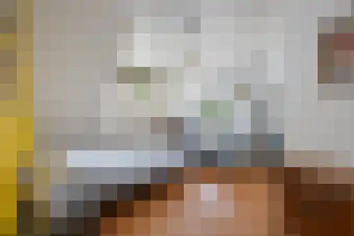 Willem Sparkweg 5 Sint-Michielsgestel thumbnail 33