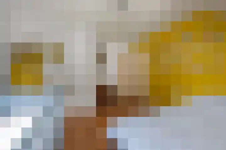 Willem Sparkweg 5 Sint-Michielsgestel thumbnail 34