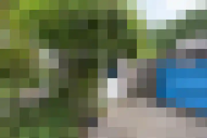 Willem Sparkweg 5 Sint-Michielsgestel thumbnail 35