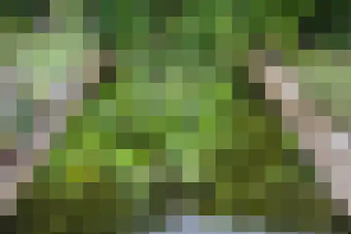 Willem Sparkweg 5 Sint-Michielsgestel thumbnail 36