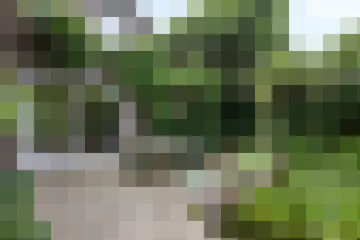 Willem Sparkweg 5 Sint-Michielsgestel thumbnail 37