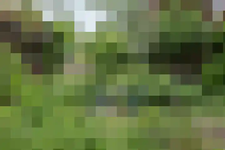 Willem Sparkweg 5 Sint-Michielsgestel thumbnail 38