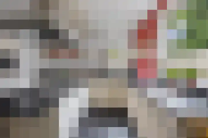 Willem Sparkweg 5 Sint-Michielsgestel thumbnail 4