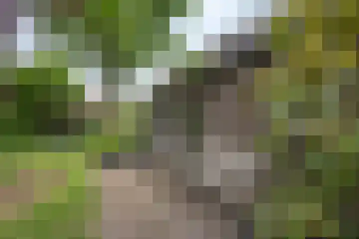 Willem Sparkweg 5 Sint-Michielsgestel thumbnail 40