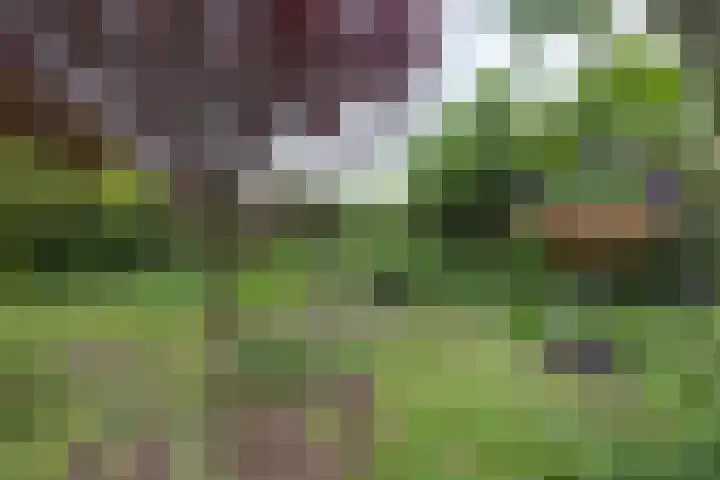 Willem Sparkweg 5 Sint-Michielsgestel thumbnail 41