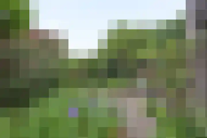 Willem Sparkweg 5 Sint-Michielsgestel thumbnail 42