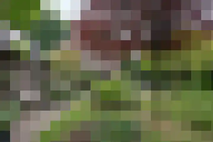 Willem Sparkweg 5 Sint-Michielsgestel thumbnail 44