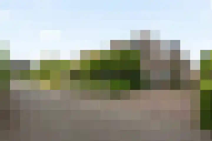 Willem Sparkweg 5 Sint-Michielsgestel thumbnail 47