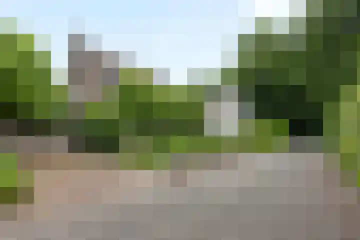 Willem Sparkweg 5 Sint-Michielsgestel thumbnail 48