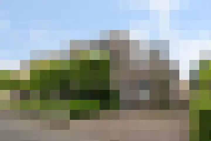 Willem Sparkweg 5 Sint-Michielsgestel thumbnail 49