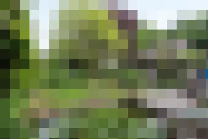 Willem Sparkweg 5 Sint-Michielsgestel thumbnail 5
