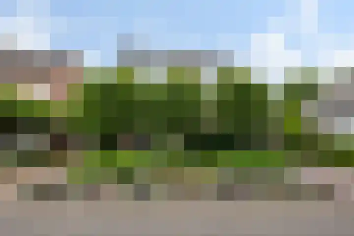 Willem Sparkweg 5 Sint-Michielsgestel thumbnail 50