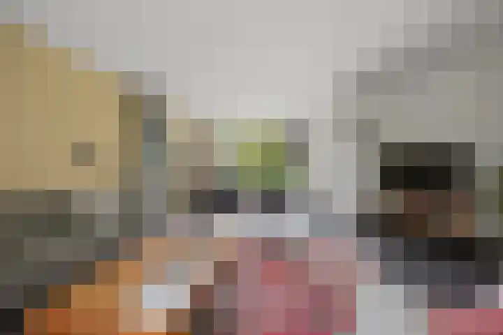 Willem Sparkweg 5 Sint-Michielsgestel thumbnail 8