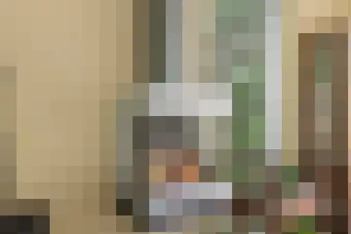 Willem Sparkweg 5 Sint-Michielsgestel thumbnail 9