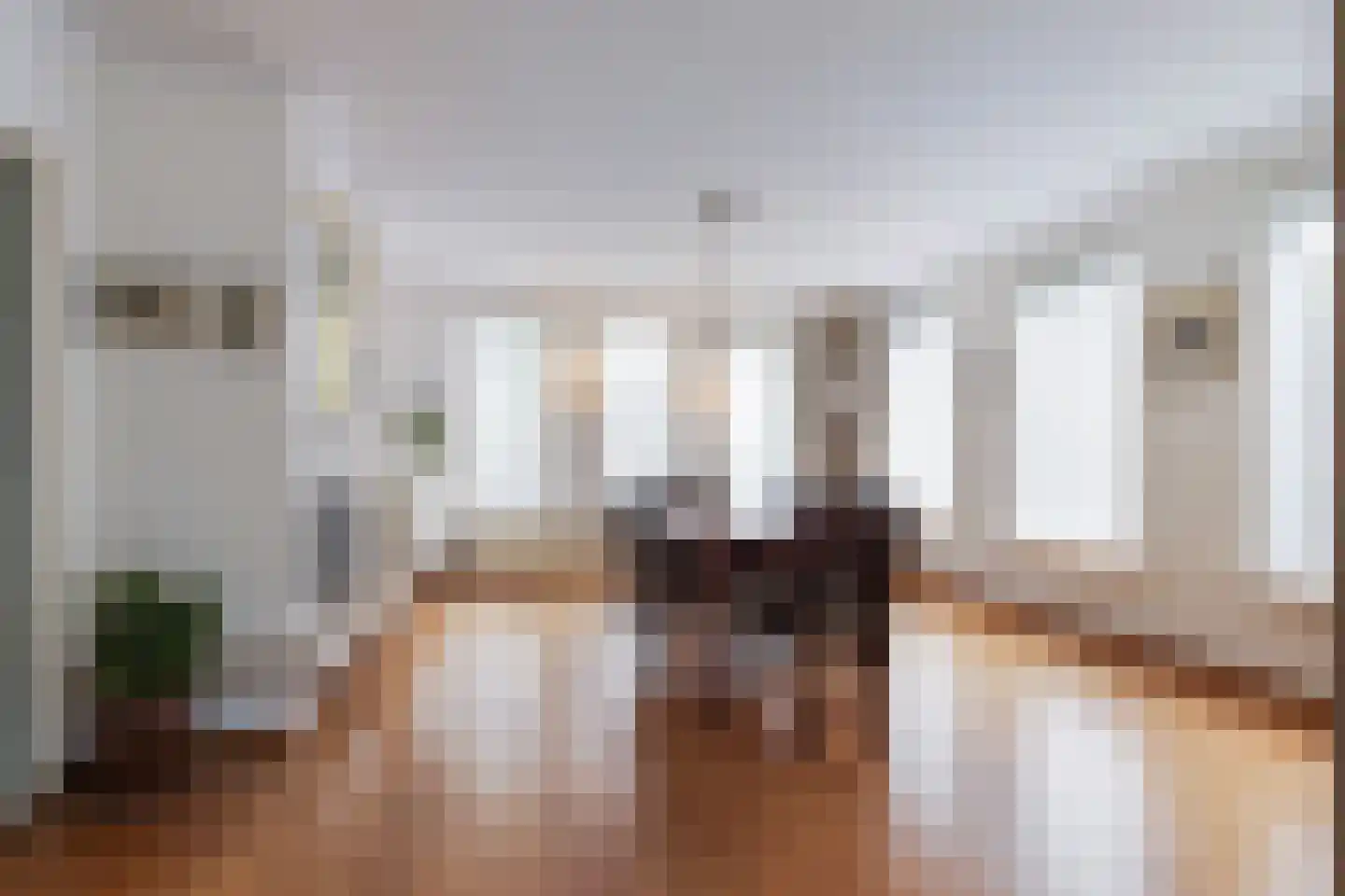 Willem Sparkweg 7 Sint-Michielsgestel thumbnail 13