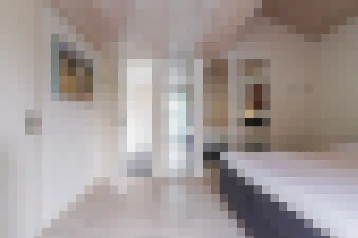 Willem Sparkweg 7 Sint-Michielsgestel thumbnail 23