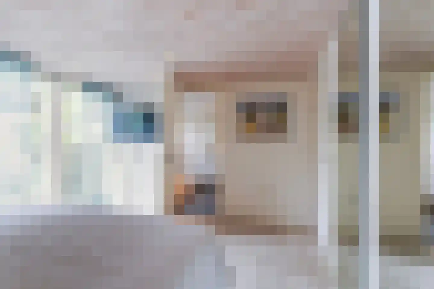 Willem Sparkweg 7 Sint-Michielsgestel thumbnail 24