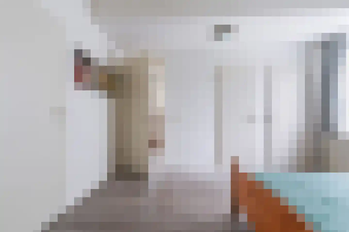Willem Sparkweg 7 Sint-Michielsgestel thumbnail 34