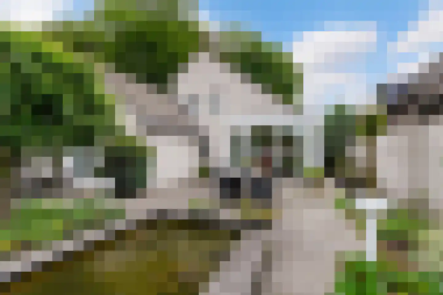 Willem Sparkweg 7 Sint-Michielsgestel thumbnail 4