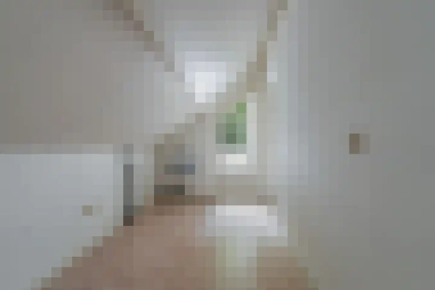 Willem Sparkweg 7 Sint-Michielsgestel thumbnail 41