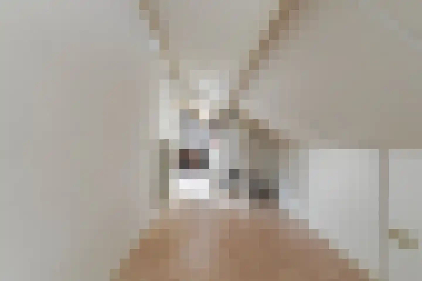 Willem Sparkweg 7 Sint-Michielsgestel thumbnail 44