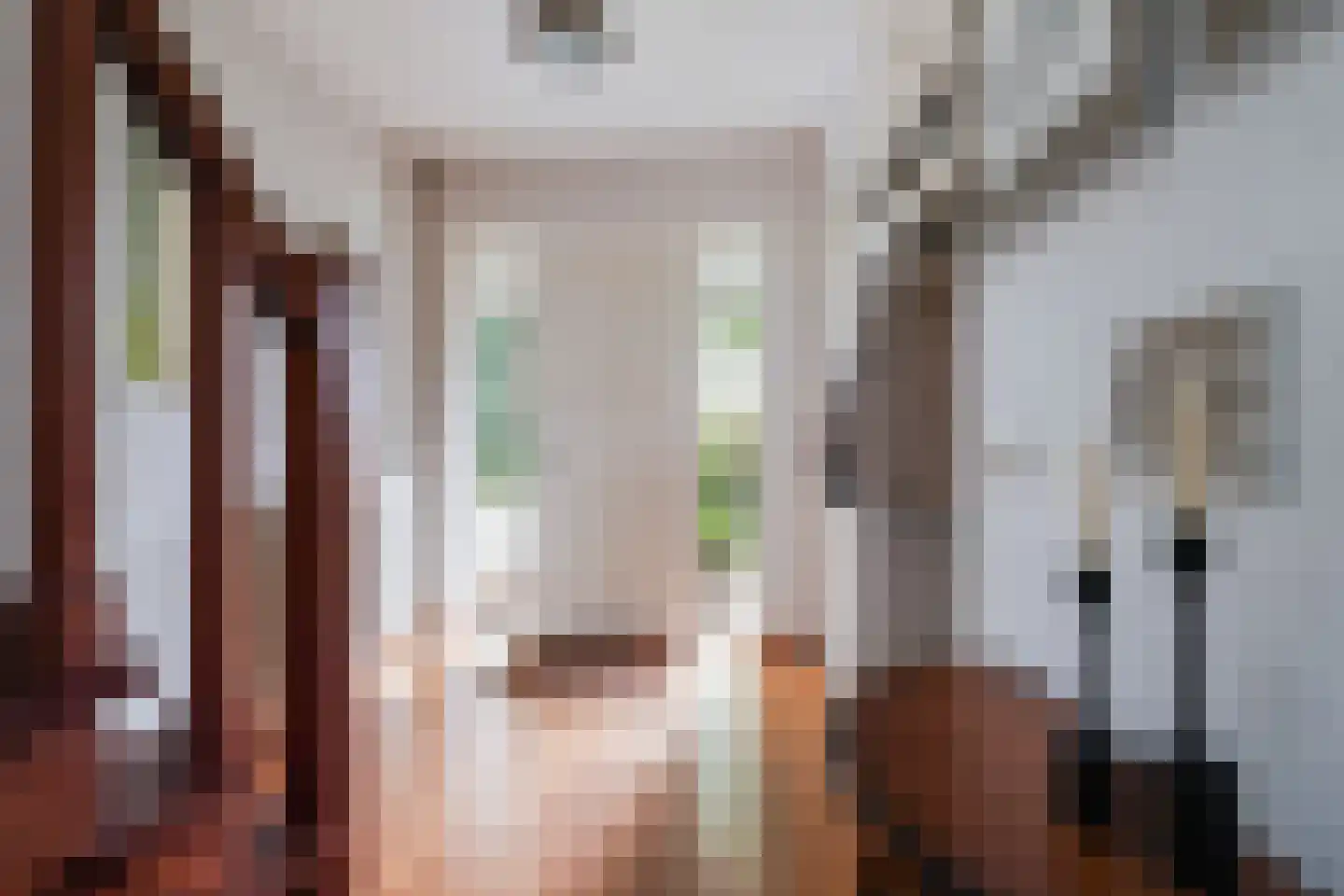 Willem Sparkweg 7 Sint-Michielsgestel thumbnail 5