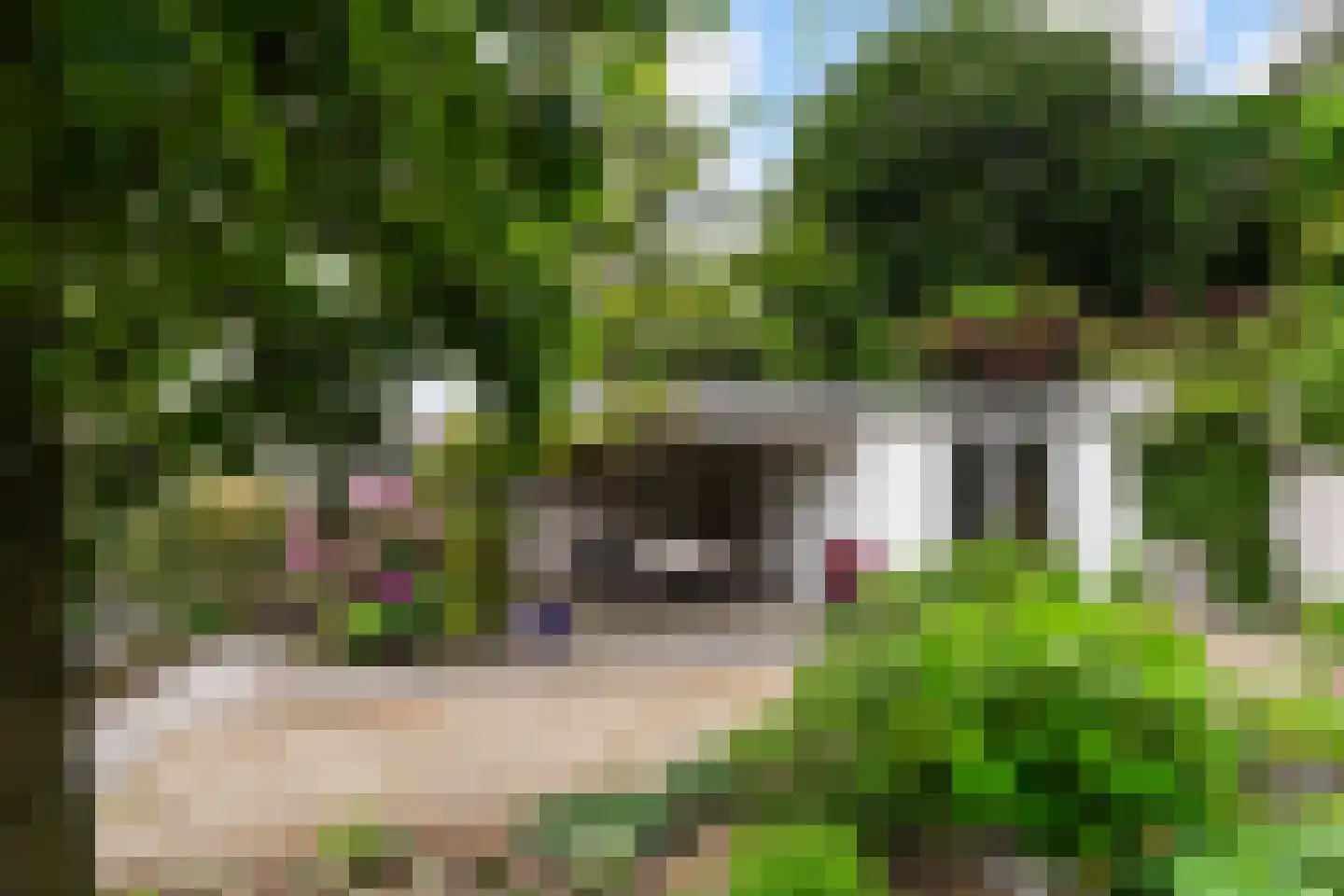 Willem Sparkweg 7 Sint-Michielsgestel thumbnail 61