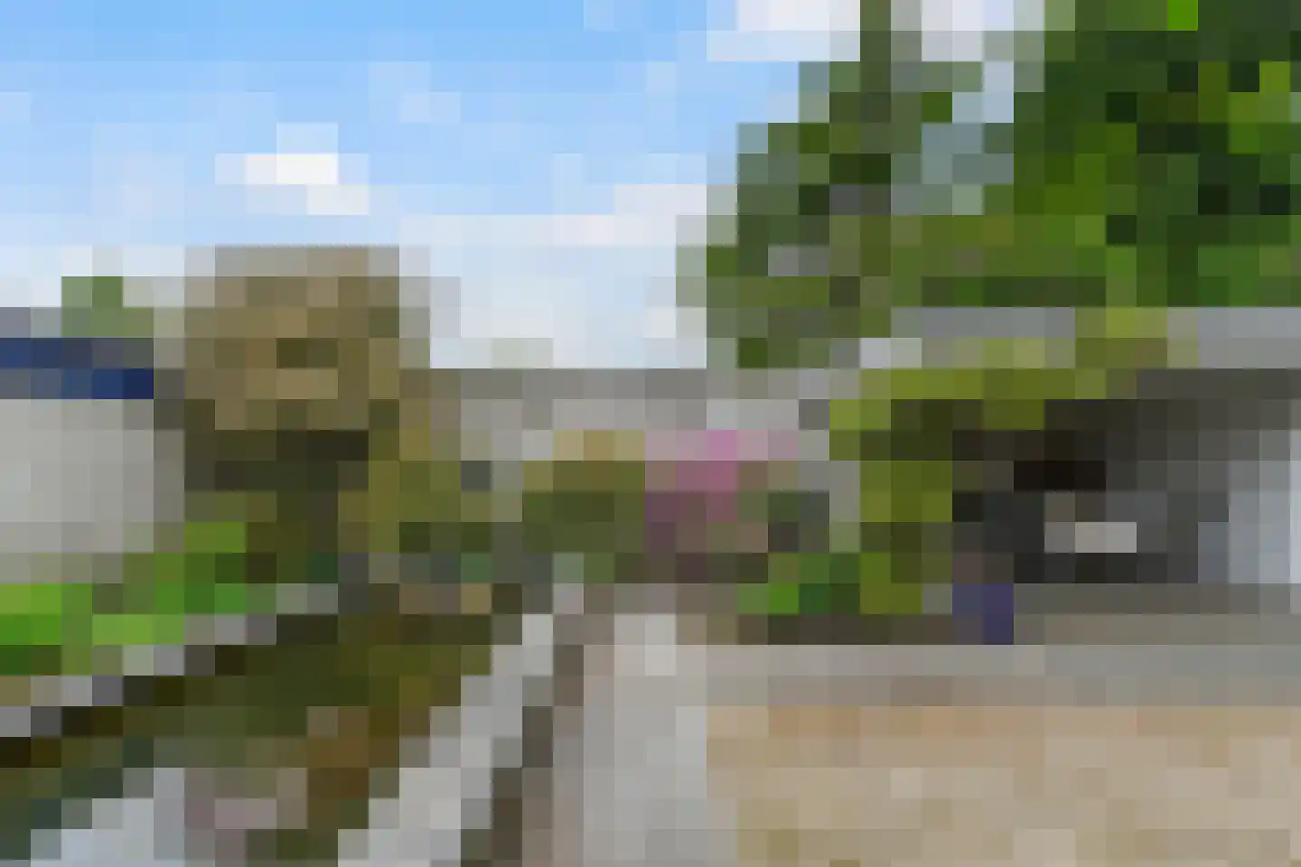 Willem Sparkweg 7 Sint-Michielsgestel thumbnail 66