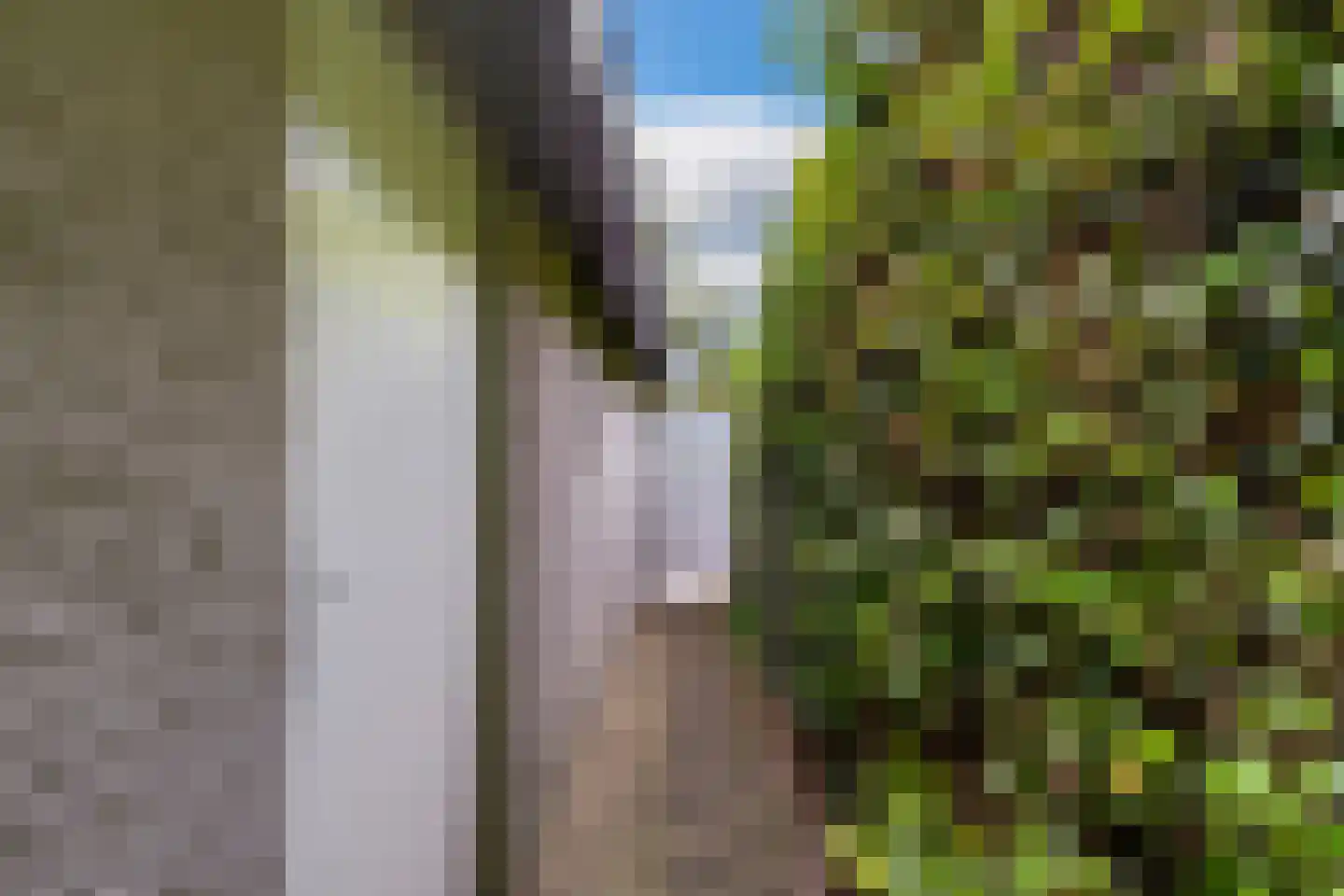 Willem Sparkweg 7 Sint-Michielsgestel thumbnail 70