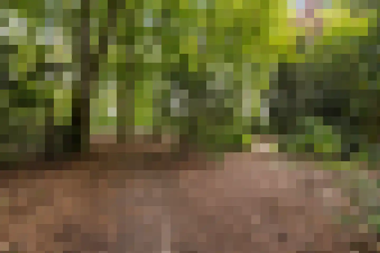 Willem Sparkweg 7 Sint-Michielsgestel thumbnail 75
