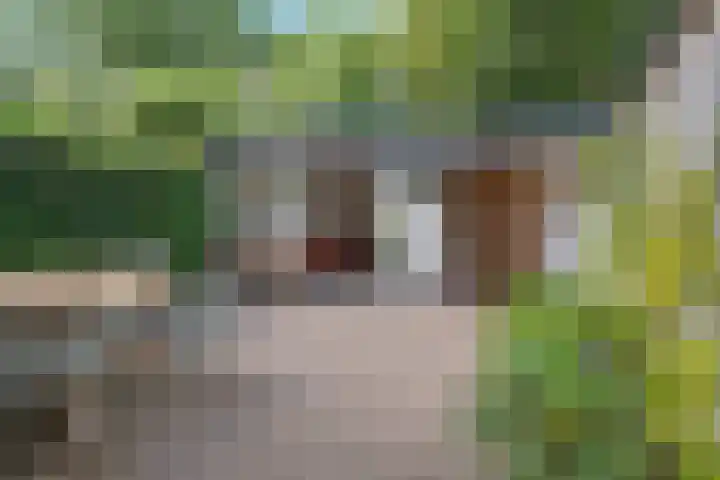 Willem Speelmanhof 9 Soest thumbnail 36