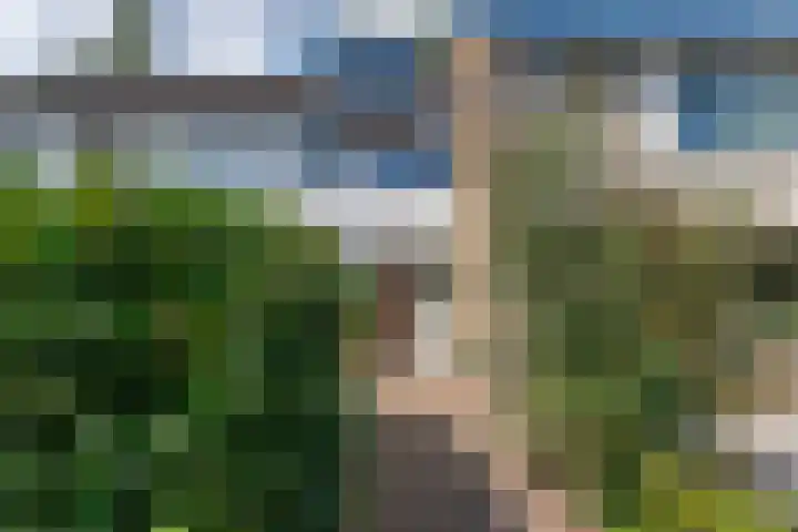 Willem Speelmanhof 9 Soest thumbnail 6