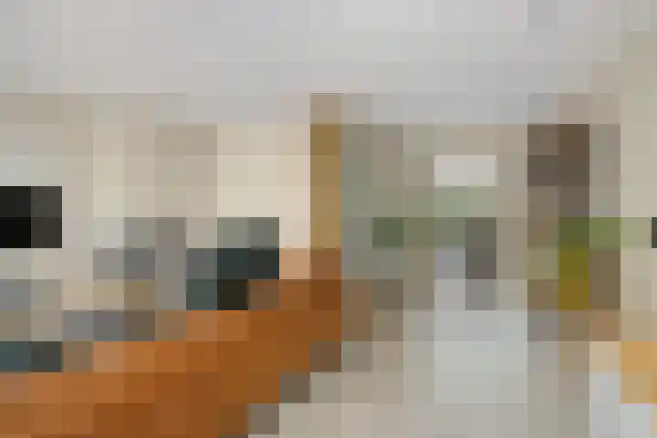 Willem Stoltehof 3 Raalte thumbnail 10