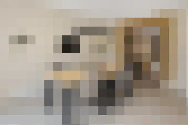 Willem Stoltehof 3 Raalte thumbnail 13