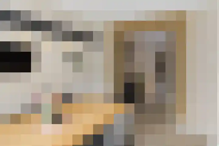 Willem Stoltehof 3 Raalte thumbnail 14