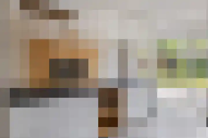 Willem Stoltehof 3 Raalte thumbnail 15