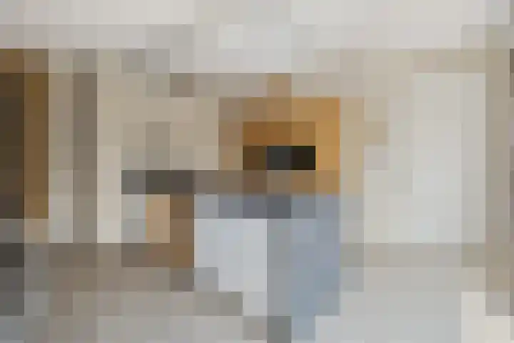 Willem Stoltehof 3 Raalte thumbnail 16